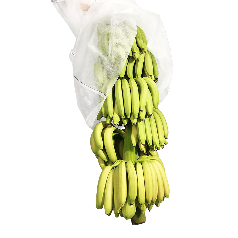 Ikke -vævet planteovertræk Banana Bag Have Stof