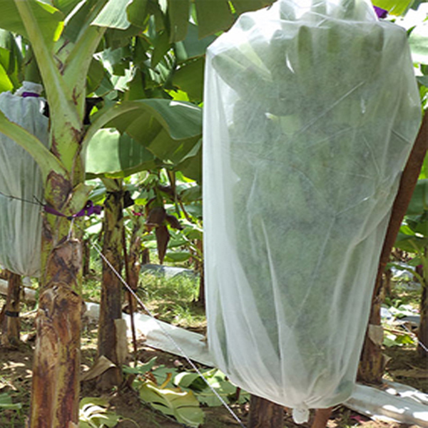 Ikke -vævet planteovertræk Banana Bag Have Stof